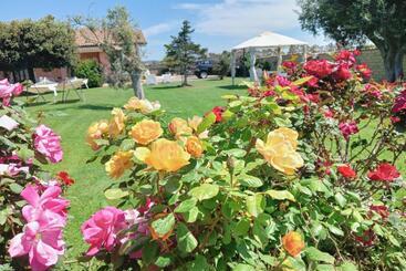 Elegance B&b