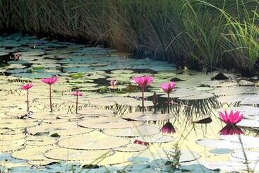 استراحتگاه Niraamaya Wellness Retreats Backwaters And Beyond Kumarakom