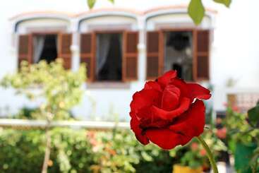 펜션 Riad Dar Achaach
