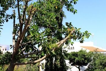 펜션 Riad Dar Achaach