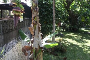 تختخواب و صبحانه Marama Lodge Tahiti