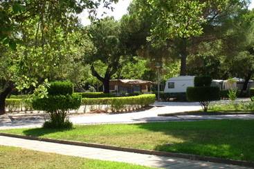 هتل Parque De Campismo Orbitur Montargil