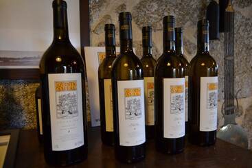هتل Wine Tourism   Quinta Do Ameal