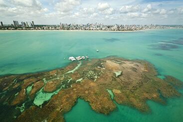 בית מלון כפרי João Pessoa Hplus Beach