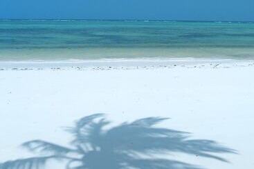 استراحتگاه The Palms Zanzibar