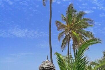استراحتگاه The Palms Zanzibar