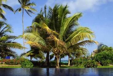 استراحتگاه The Palms Zanzibar