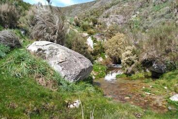 El Yedron