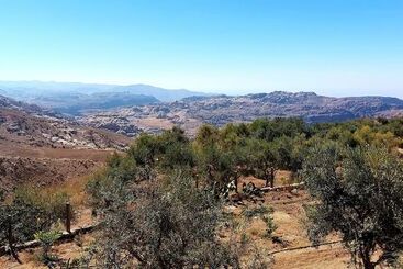 Hayat Zaman Hotel And Resort Petra
