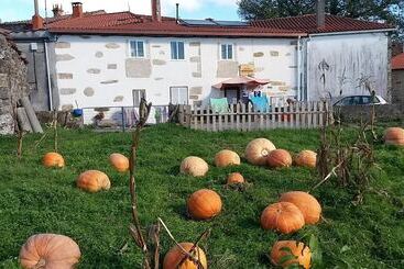 Albergue A Casina Di Marcello