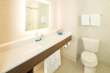هتل Holiday Inn Express & Suites   Kalamazoo West, An Ihg