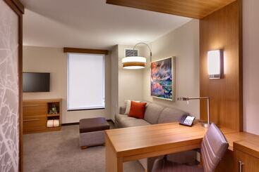 هتل Hyatt Place St George/convention Center