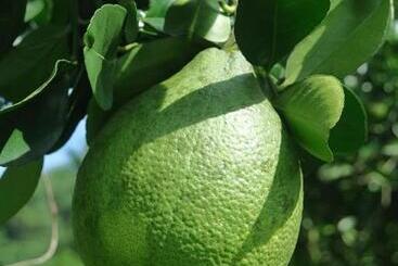 هاستل Finca Carpe Diem Ecolodge