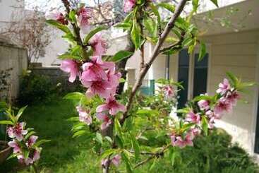 B&b Camere Borgo