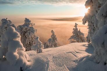 Ruka Peak   Boutique Hotel & Restaurant