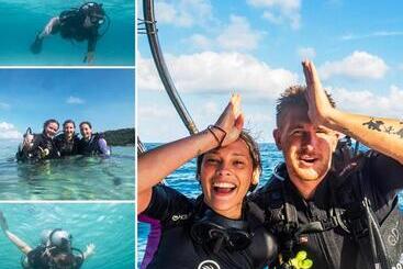 ユースホステル Quiver Dive Team Perhentian Dorm