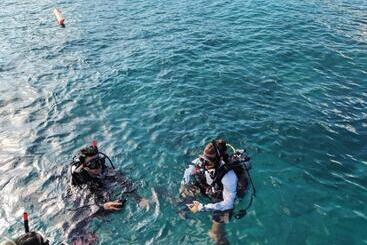 호스텔 Quiver Dive Team Perhentian Dorm