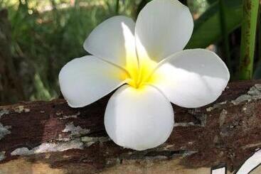 تختخواب و صبحانه Good Karma Villa