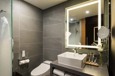 Novotel Ambassador Seoul Dongdaemun Hotels & Residences