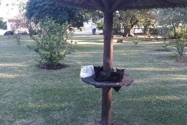 هاستل Posada De Campo San Cono