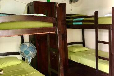 هاستل Casa Lula León Hostal