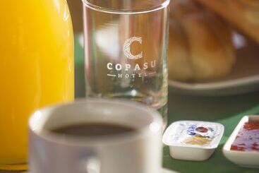 هتل Copasu