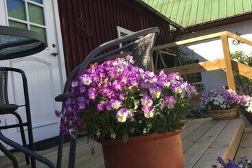 Skummeslöv B & B