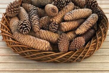 تختخواب و صبحانه Hayloft