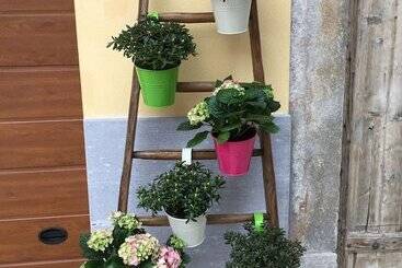 تختخواب و صبحانه Hayloft