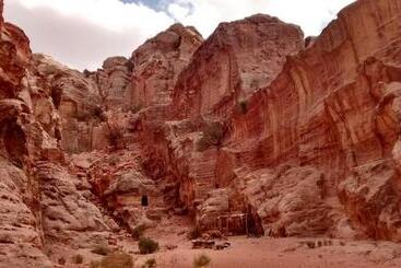 Petra Bedouin Bed And Breakfast