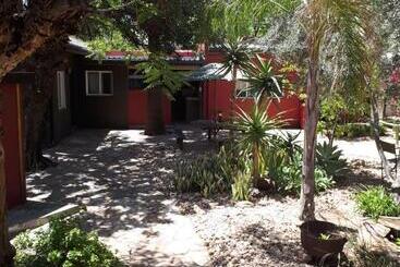 تختخواب و صبحانه Puccini House