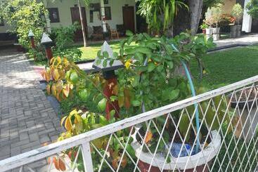 تختخواب و صبحانه Villa 67
