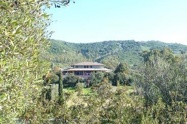 B&b Su Frascu Segau