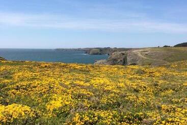酒店 Hôtel Restaurant Corto Maltese