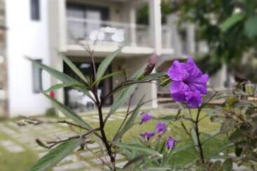Valmarin Seafront Apartments