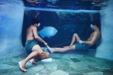 هتل Center Parcs Le Bois Aux Daims