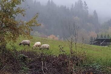 Ferien Vom Ich, Bayerischer Wald, Hotel & Restaurant