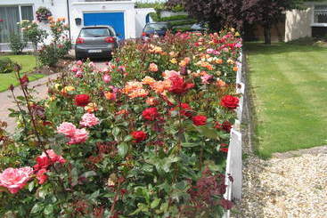 Azure Bed And Breakfast