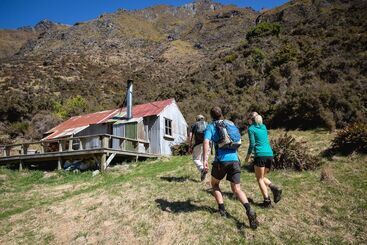 هتل Minaret Station Alpine Lodge