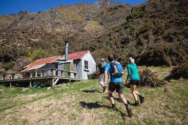 هتل Minaret Station Alpine Lodge