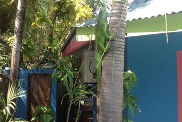 هتل Tamarindo Village