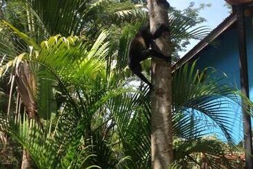 هتل Tamarindo Village