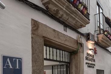 Apartamentos Turísticos Domus Seleqtia Plaza Mayor