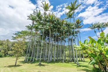 هتل Old Hawaiian Bed And Breakfast