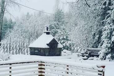 هتل Pikku Torppa Cottage
