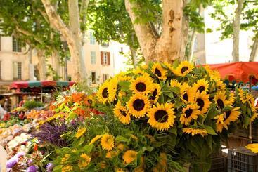 هتل Les Jardins De Baracane