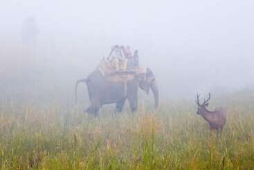 هتل The Rangers Reserve   Corbett