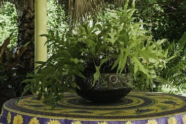 Le Jardin Hotel Restaurant