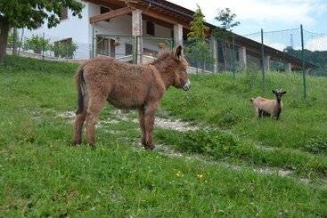 هتل Agriturismo Corte Maccini