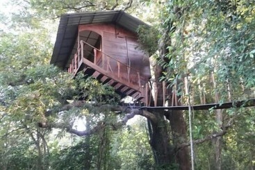 هتل Book Jungle